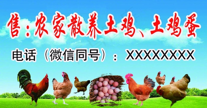 土鸡土鸡蛋图片(5102X2835(DPI:72))psd模版下载