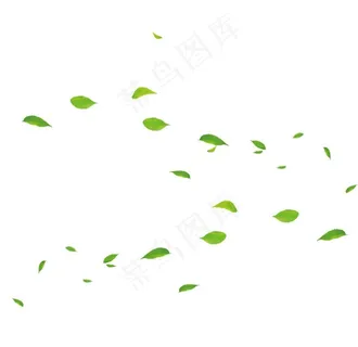绿叶树叶叶子图片