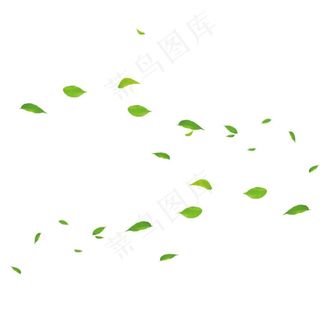绿叶树叶叶子图片