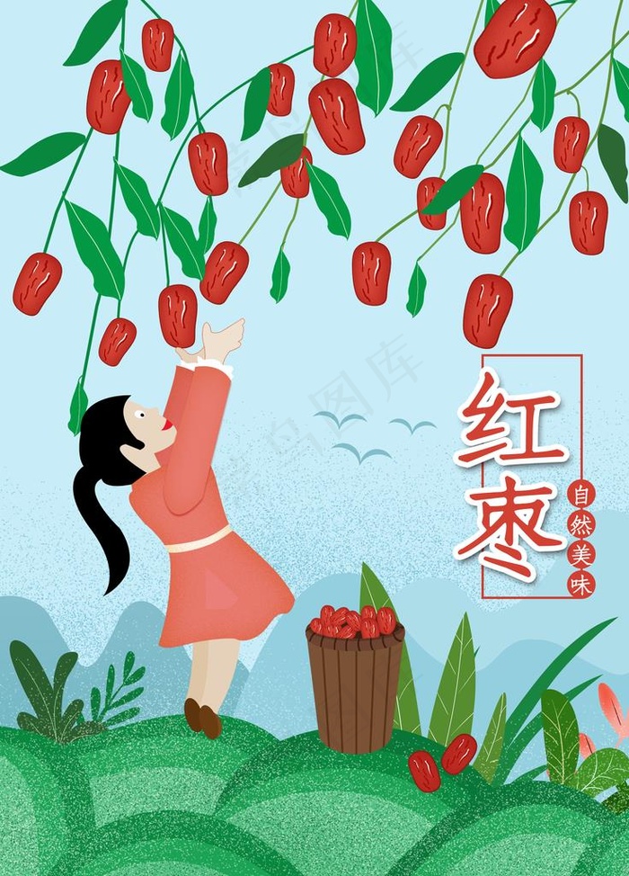 红枣图片(3543X4724(DPI:150))psd模版下载