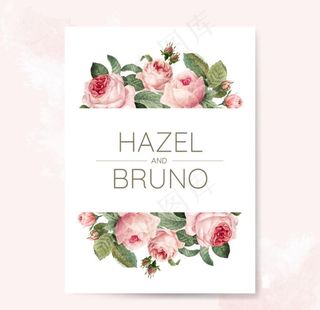 手绘植物花卉背景图片