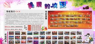 德育室展板美丽的校园图片