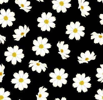 大牌 小碎花 小清新 雏菊图片