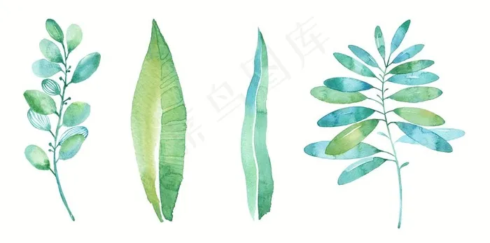 小清新美式手绘插画水彩绿植图片