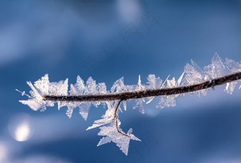 冰霜图片