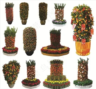 无背景 年桔素材图片