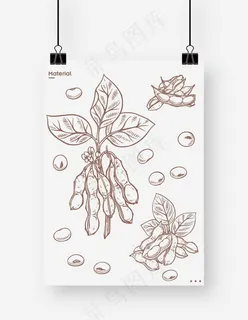 豆子 豌豆 黄豆 豆荚图片