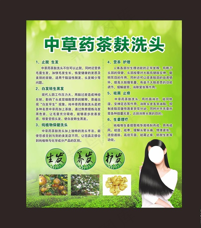 纯中药茶麸洗头图片(210X297)cdr矢量模版下载