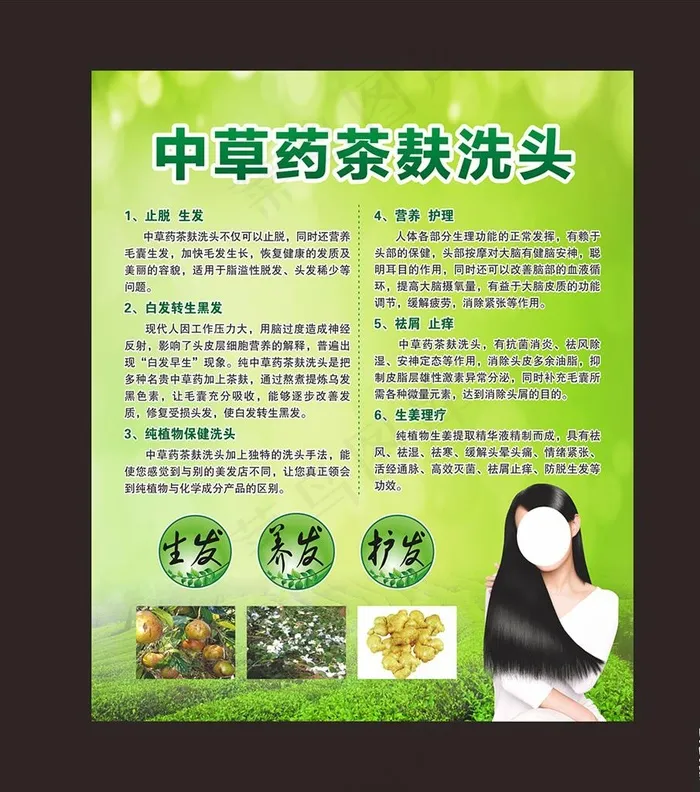 纯中药茶麸洗头图片(210X297)cdr矢量模版下载