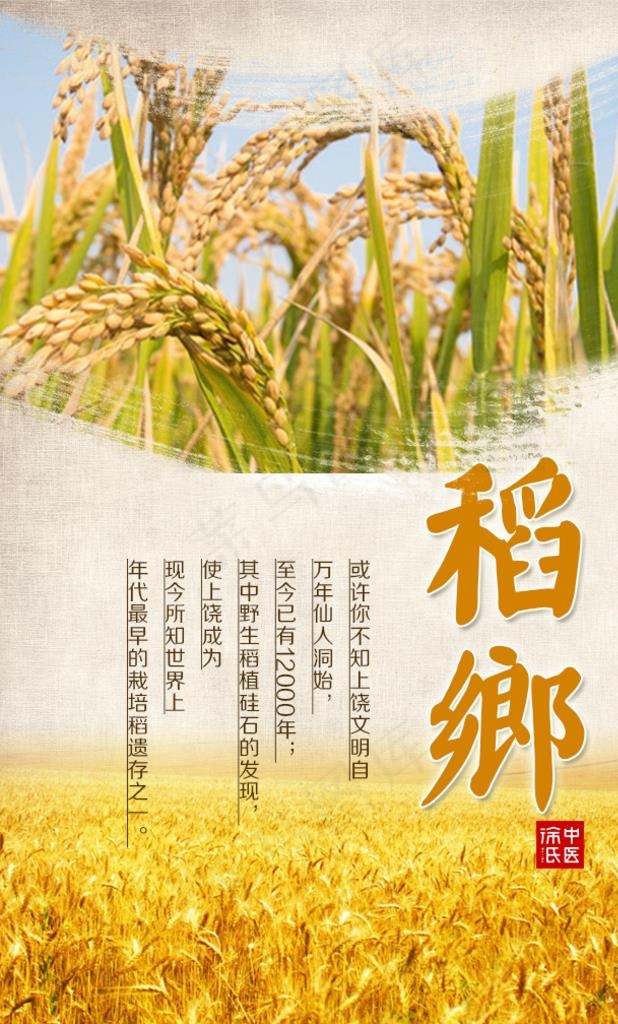 稻乡图片psd模版下载