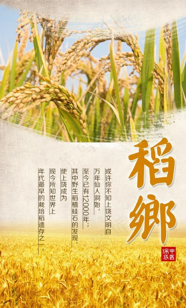 稻乡图片psd模版下载