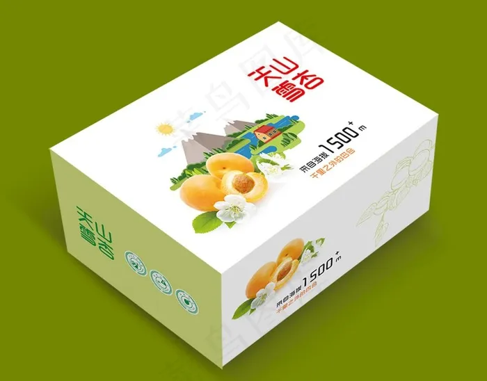 天山雪杏图片cdr矢量模版下载