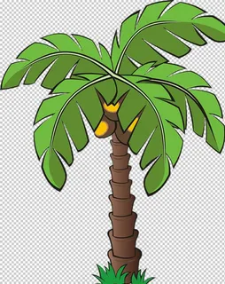 椰子树图片