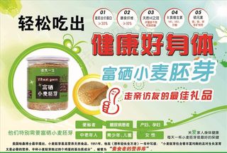 小麦胚芽宣传页图片
