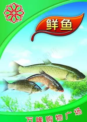 超市鱼区图片