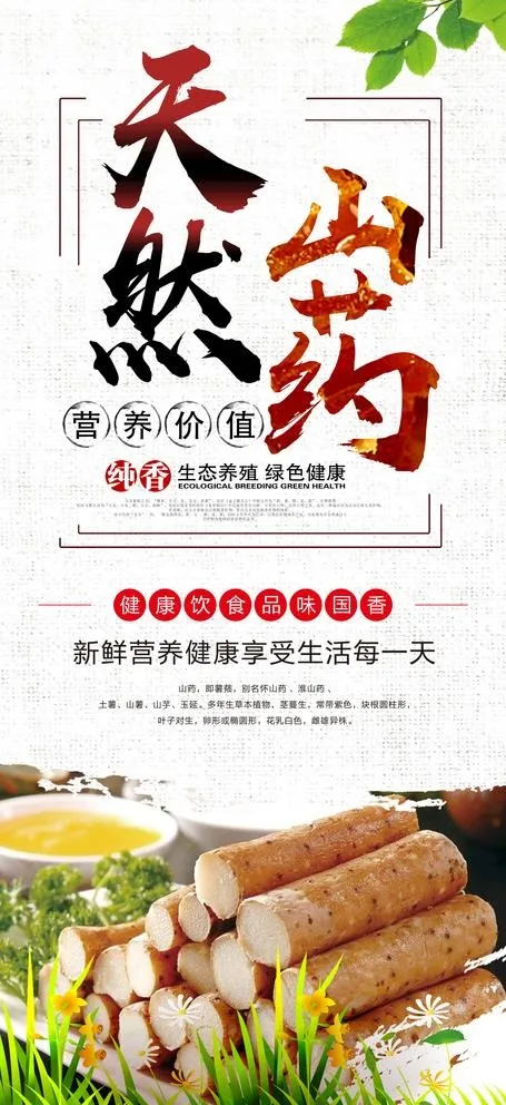 山药展架图片(4724X10630(DPI:150))psd模版下载