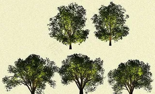 夜景照明树图片