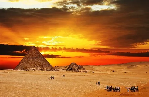 沙漠骆驼图片 沙漠骆驼图片