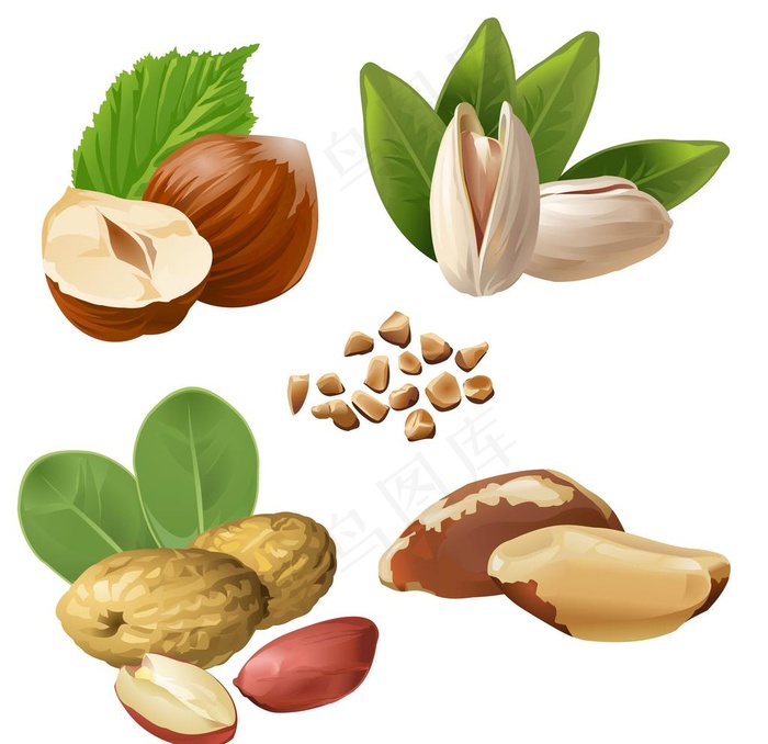 坚果图片