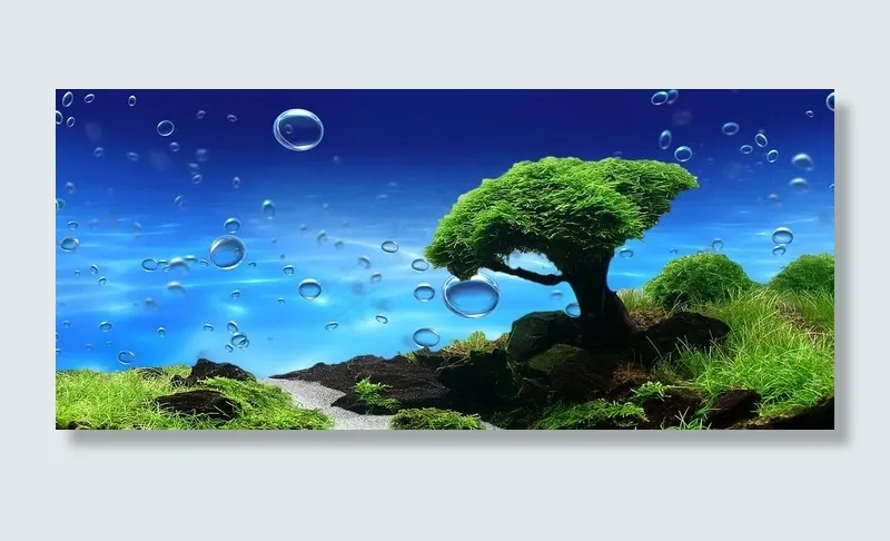 鱼缸背景图片(3685X1729(DPI:72))psd模版下载