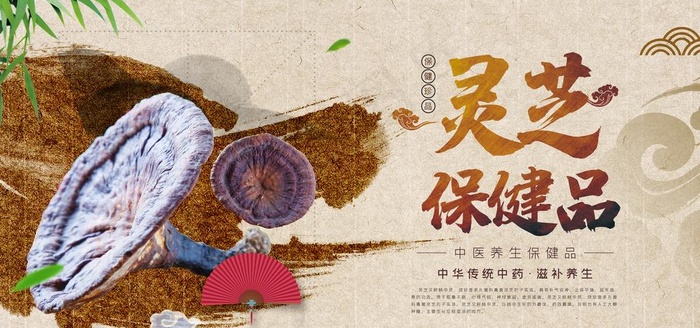 灵芝海报图片