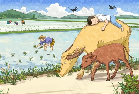 插秧 农田 牛 耕种 插画图片 插秧 农田 牛 耕种 插画图片