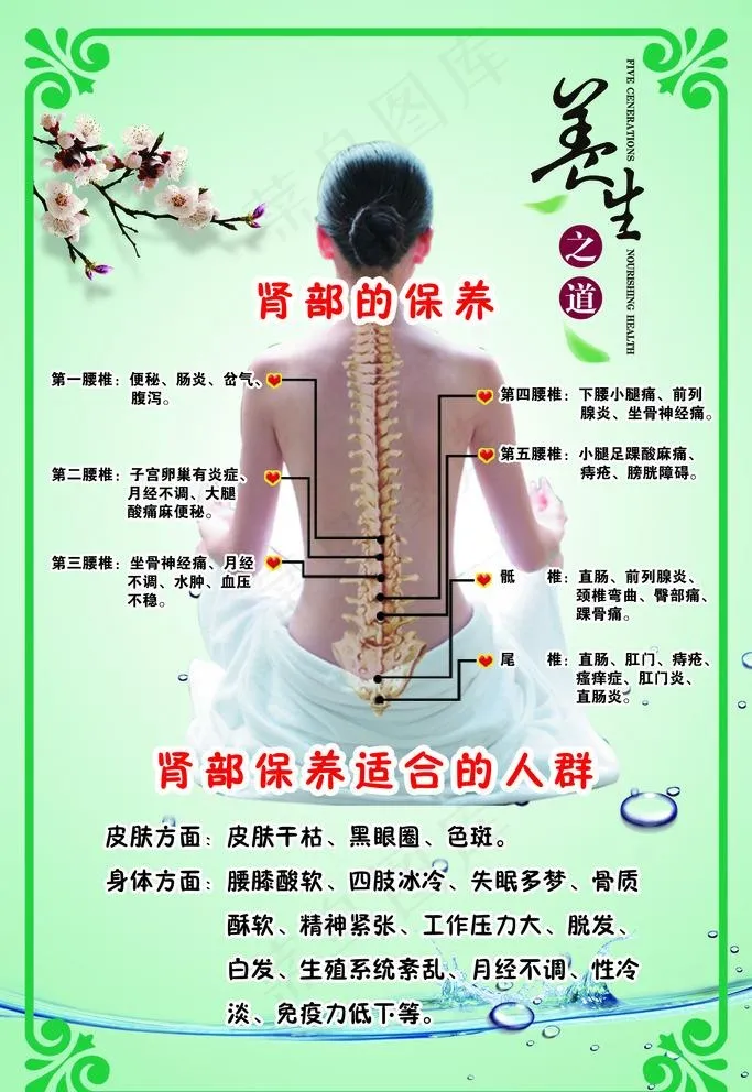 养肾展板图片psd模版下载