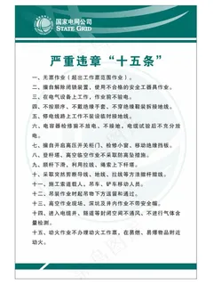 国家电网严重违章十五条图片
