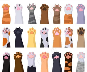 猫爪子图片