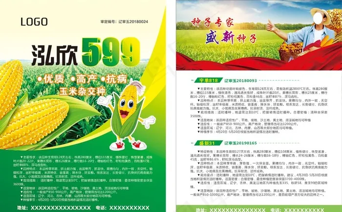 玉米种子单页图片(210X285)cdr矢量模版下载