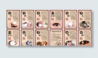 采耳文化馆项目简介图片