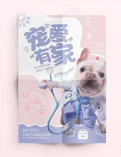 宠物海报图片