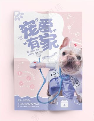 宠物海报图片