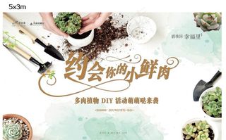 多肉 背景板图片