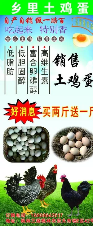 土鸡蛋展架图片