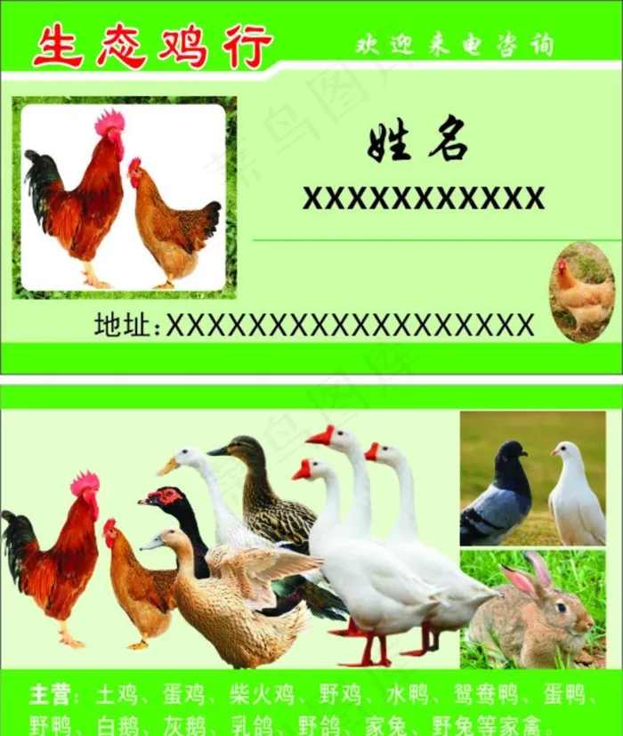 生态鸡行名片图片cdr矢量模版下载