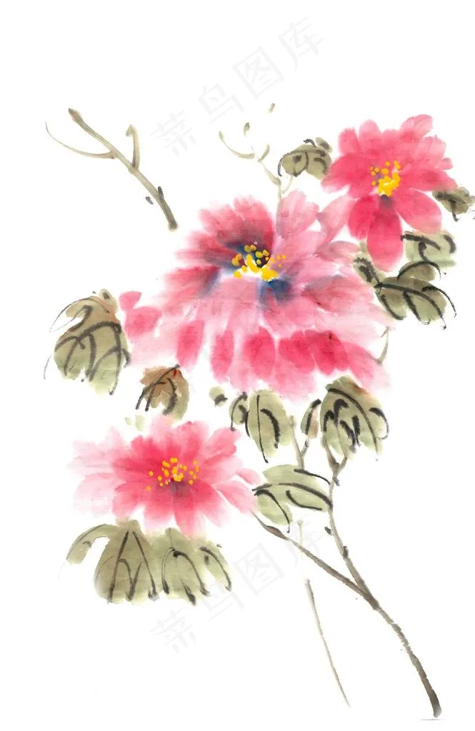 水墨牡丹花图片(4724X6943(DPI:300))psd模版下载