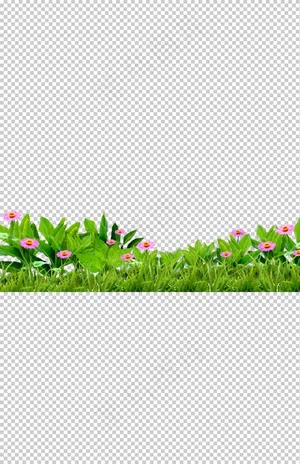 花草绿草背景图片