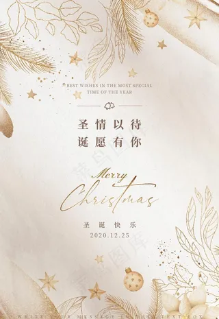 植物手绘风简约金色圣诞海报图片