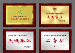 铜牌 钛金牌图片