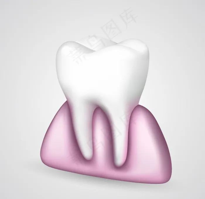 牙齿与牙龈设计矢量素材图片eps,ai矢量模版下载