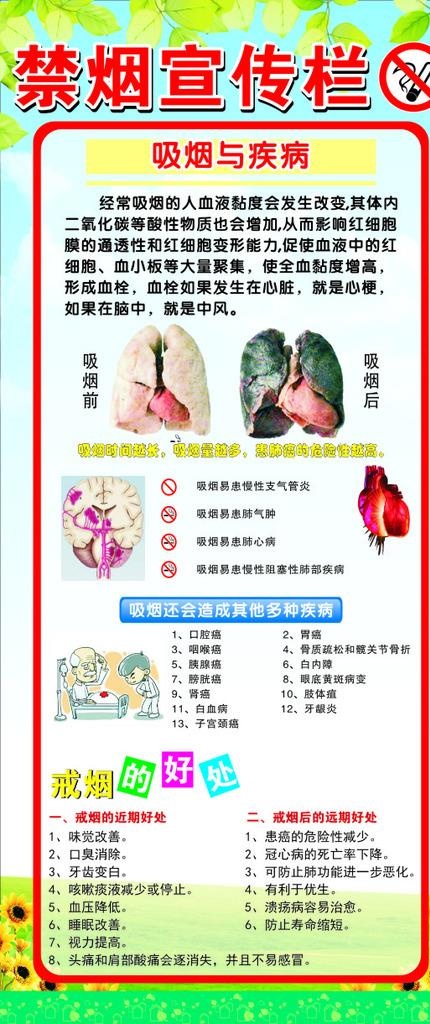 幼儿园禁烟宣传栏图片