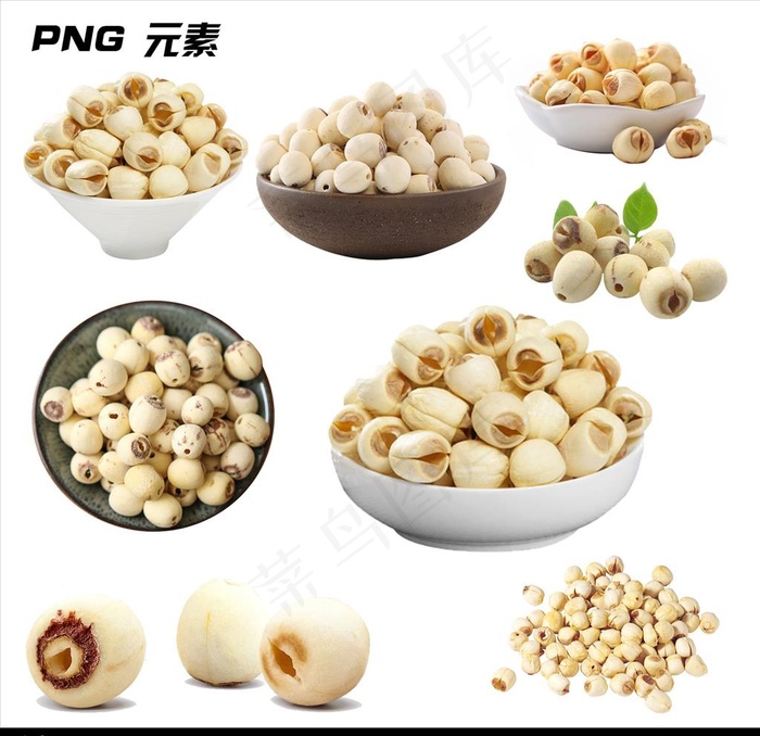 莲子免扣元素图片(2362X2362(DPI:300))psd模版下载