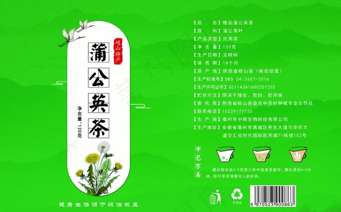 蒲公英茶图片