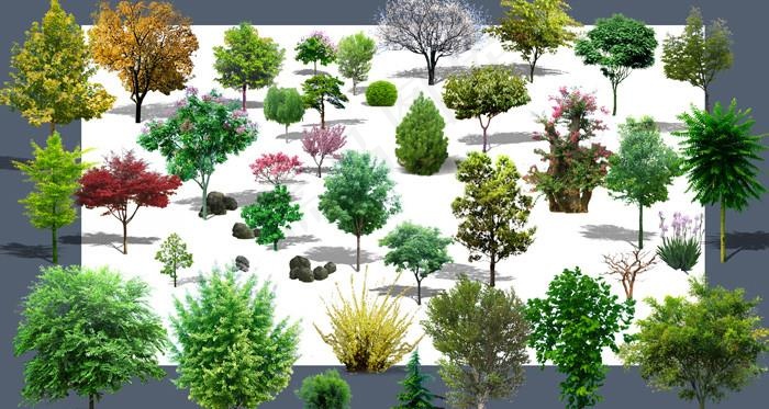 效果图后期植物PSD分层素材图片