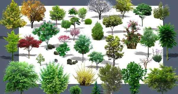 效果图后期植物PSD分层素材图片