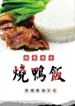 烧鸭饭图片