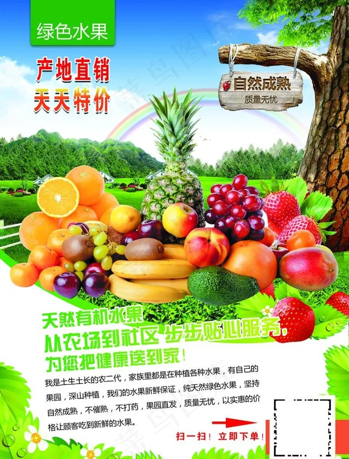 水果彩页图片(2504X3390(DPI:300))psd模版下载