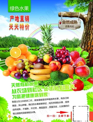 水果彩页图片