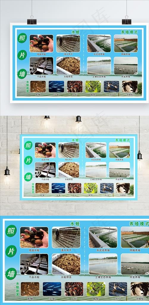 水产养殖照片墙图片